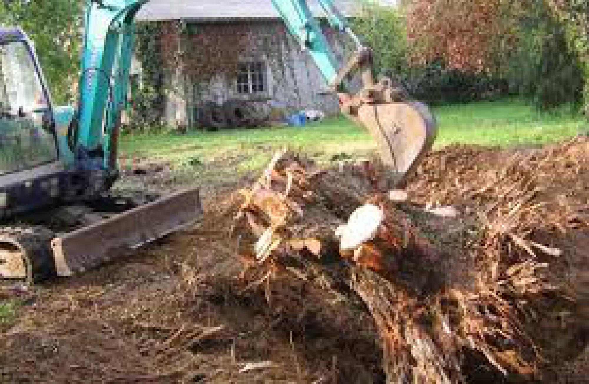 dessouchage d’arbre