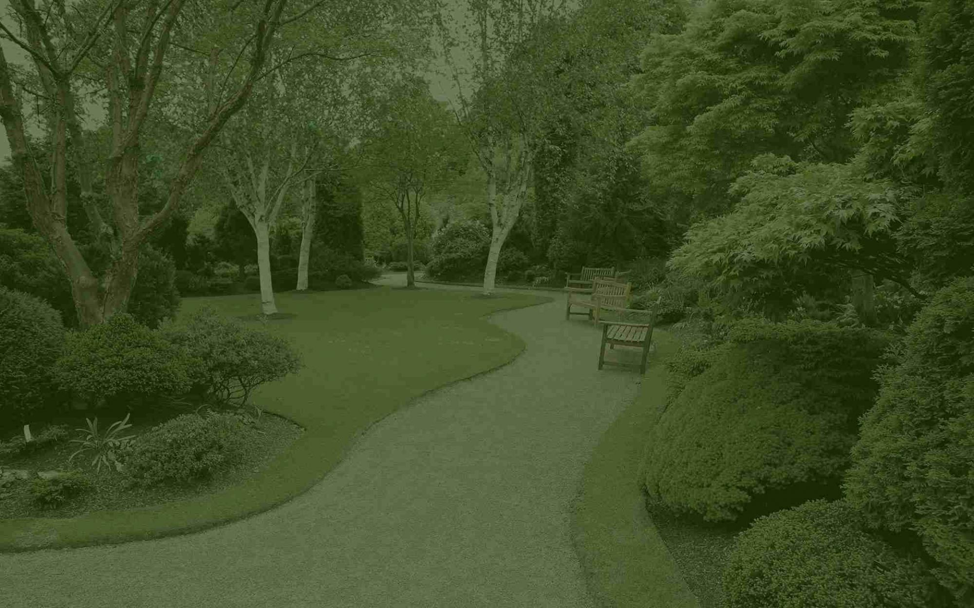 Dessouchage rapide dans le Gard