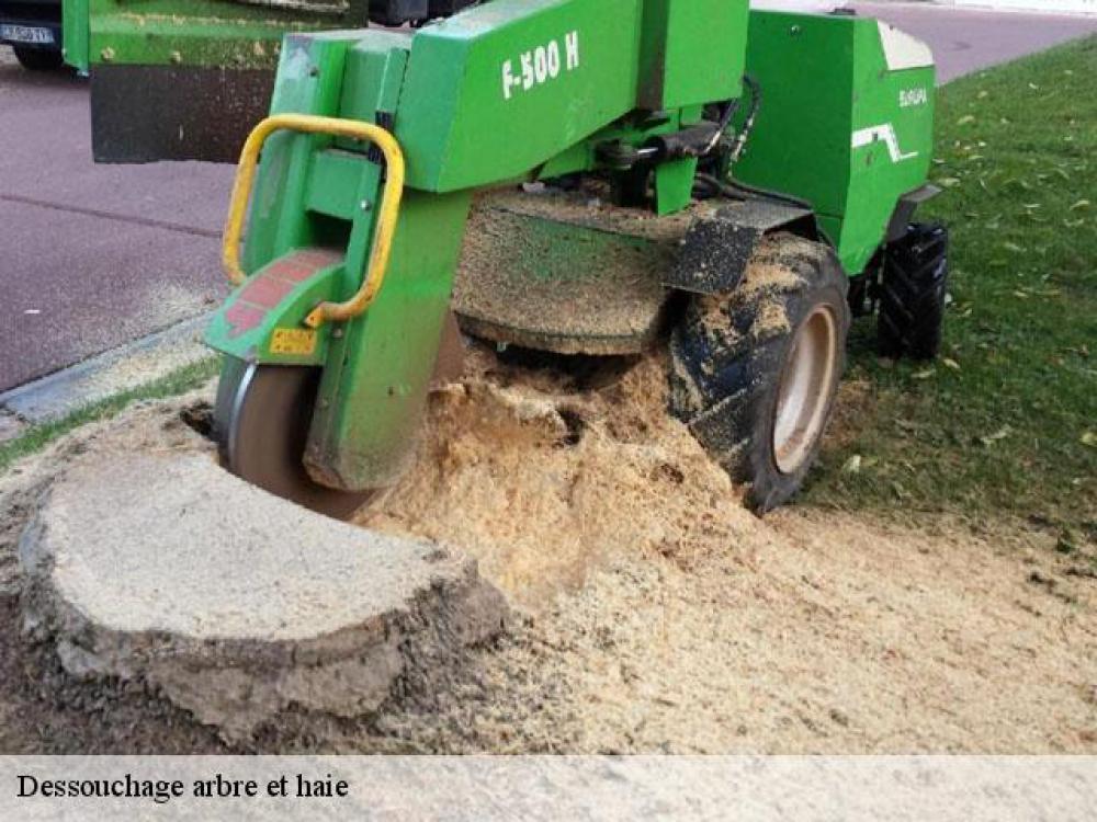 Entreprise Destrich votre expert dessouchage en  Gironde 33