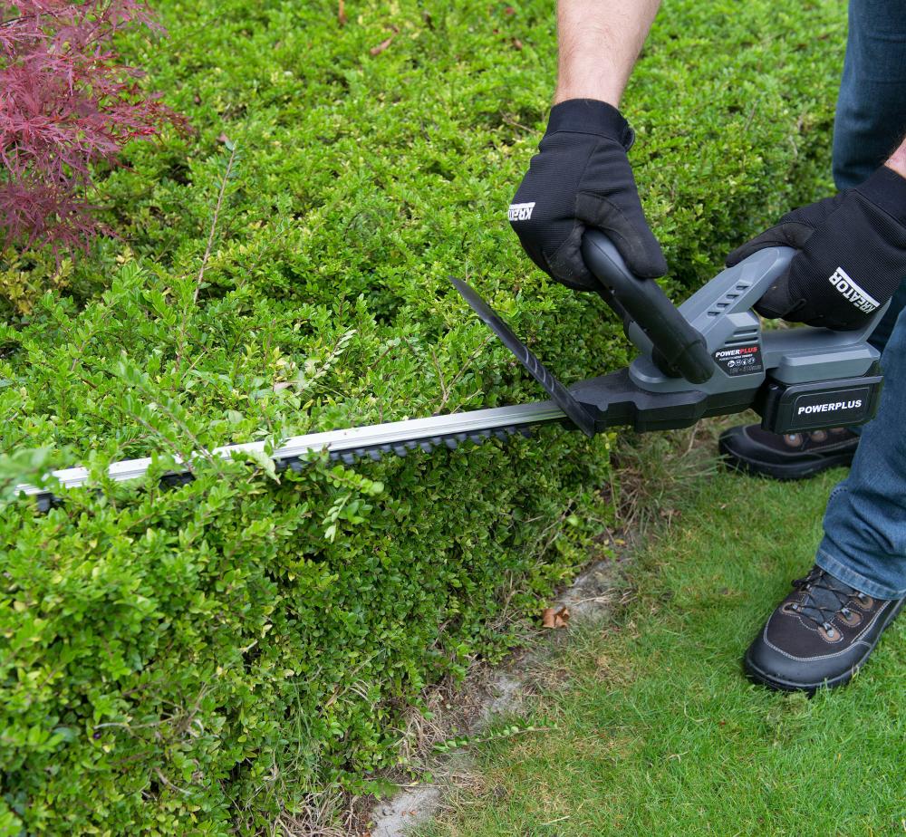 Dessouchage expert en Haute-Savoie