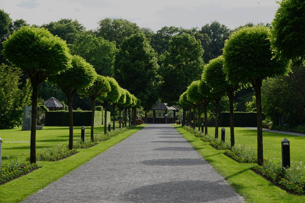 Dessouchage expert Haute-Garonne